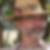 Photo de profil de Bernard Mage