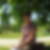 Photo de profil de Celine Brousse