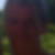 Photo de profil de Pascal Leonard