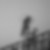 Photo de profil de Suzon Cointet