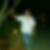 Photo de profil de Frederic Pages