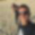 Photo de profil de Arnaud Holtzscherer