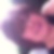 Photo de profil de Jasmine Boghossian