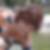 Photo de profil de Brigitte Llaurens