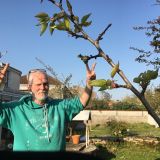 Photo de profil de Pascal Laroche