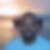 Photo de profil de Vincent Pascal