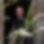 Photo de profil de Marc Drouillet