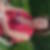 Photo de profil de Annick Flandrois