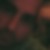 Photo de profil de Denis Monmarché