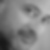 Photo de profil de Stephane Lacot