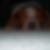 Photo de profil de Rozenn charpentier