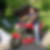 Photo de profil de Frederic Momplay