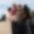 Photo de profil de Honorine Juvenet