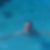 Photo de profil de Patrick SARFATI
