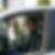 Photo de profil de Alain Maigne