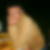 Photo de profil de Bruno Goasdoue