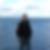 Photo de profil de Elie Caillet