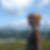 Photo de profil de Simone Berthaud