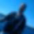 Photo de profil de Karl Thettmeyer
