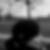 Photo de profil de Laurence Dezoomer
