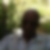 Photo de profil de Sylvio Colmar