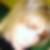 Photo de profil de Emilie Fruitier