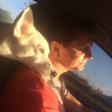 Photo de profil de Philippe Hoernel