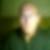 Photo de profil de Jean-François Barraud