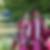 Photo de profil de Monia Chauffourier