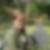 Photo de profil de Marie Luce Cha