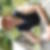 Photo de profil de Alban Borderon