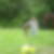 Photo de profil de Florence Combet