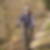 Photo de profil de Bruno Leclerc