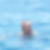Photo de profil de Patrice Allart