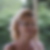 Photo de profil de Brigitte Arnaud