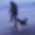 Photo de profil de Nadia Curtin
