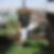 Photo de profil de Bouillot Frederic