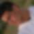 Photo de profil de Alban Boisson