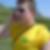 Photo de profil de Ludovic Castelli