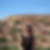 Photo de profil de Sonia Besson