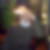 Photo de profil de Daniel Bluet