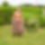Photo de profil de Isabelle Sagot