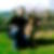 Photo de profil de Goujon Noel