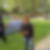 Photo de profil de Monique Duluc