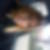 Photo de profil de Maurice Sonia