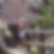 Photo de profil de Maryse Gasc