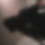 Photo de profil de Daryl Bissey