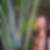 Photo de profil de Nelly Mathie