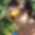 Photo de profil de Stephanie Deschamps