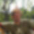 Photo de profil de Philippe Faucher